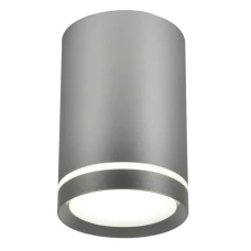 Candellux TUBA GU10 срібний 2277158. Точковий світильник
