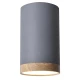 Світильник точковий накладний Candellux TUBA 9 Вт 4000К сірий 2282879
