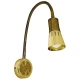 Бра Candellux ARENA E14 золотий, латунний 91-84470