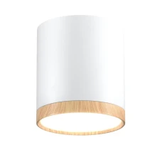 Candellux TUBA 5 Вт 4000К білий 2273624. Точковий світильник