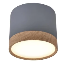 Candellux TUBA 9 Вт 4000К сірий 2275925. Точковий світильник