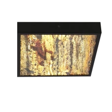 Candellux LUXAN 28 Вт 4000К чорний 10-06684. Стельовий світильник