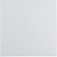 Berker Клавіша 1Х, пол.білизна S.1 16208989