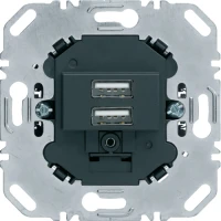 Berker USB-розетка подвійна, 230В, антрацит 260205