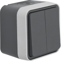 Berker Кнопка 2-клавішна IP55, сірий, 10АX/250В W.1 50753515