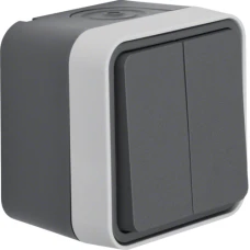 Berker Кнопка 2-клавішна IP55, сірий, 10АX/250В W.1 50753515