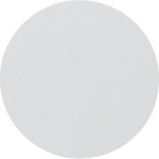 Berker Клавіша 1Х, пол.білизна, R.x 16202089