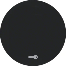 Berker Клавіша 1Х зі знаком 'Ключ', чорна, R.x 16202015