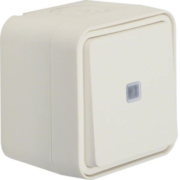 Перемикач з підсвічуванням IP55, пол.білий, 10АX/250В W.1 Berker 30763522