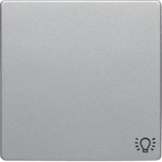 Berker Клавіша 1Х зі знаком 'Світло', алюміній, Q.x 16206044