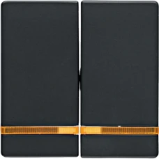 Berker Клавіша 2Х з лінзою, антрацит, Q.x 16276086