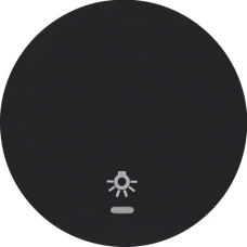 Berker Клавіша 1Х з лінзою зі знаком 'Світло', чорна, R.x 16212035