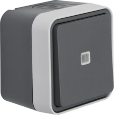 Berker Перемикач контрольний з підсвічуванням IP55, сірий, 10АX/250В W.1 31763505