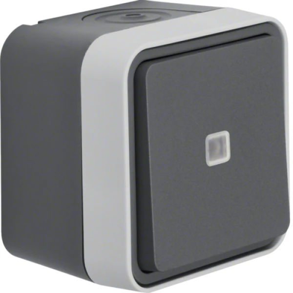 Кнопка з підсвічуванням IP55, сіра, 10АX/250В W.1 Berker 50763505