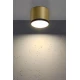 Світильник точковий накладний Candellux TUBA 9 Вт 4000К золотий 2275956