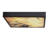 Candellux LUXAN чорний 10-17055. Стельовий світильник