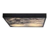 Candellux LUXAN 48 Вт 4000К чорний 10-17062. Стельовий світильник