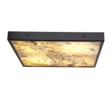 Candellux LUXAN 48 Вт 4000К чорний 10-14566. Стельовий світильник