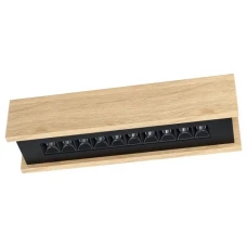 Eglo TERMINI LED-модуль чорний 39788. Стельовий світильник