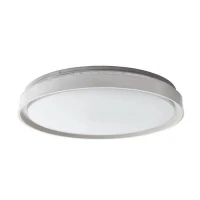 Eglo SELUCI 40Вт 3000-6500К білий 99779. Стельовий світильник