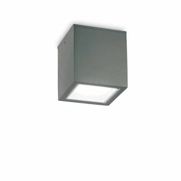 Вуличний стельовий світильник Ideal Lux TECHO GU10 сірий 251516