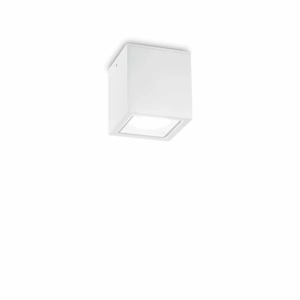 Вуличний стельовий світильник Ideal Lux TECHO GU10 білий 251561