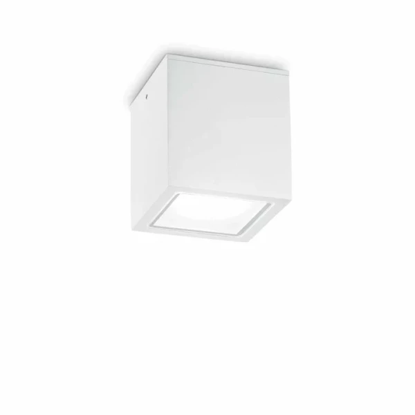 Вуличний стельовий світильник Ideal Lux TECHO GU10 білий 251523