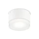 Вуличний стельовий світильник Ideal Lux URANO GX53 білий 168050