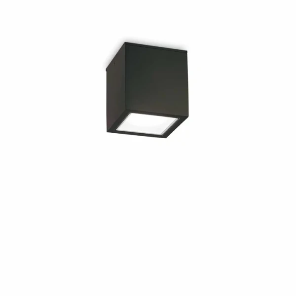 Вуличний стельовий світильник Ideal Lux TECHO GU10 чорний 251578