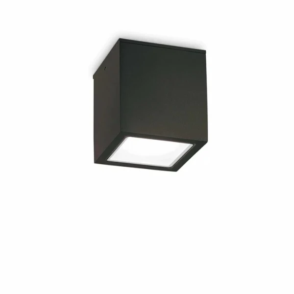 Вуличний стельовий світильник Ideal Lux TECHO GU10 чорний 251530