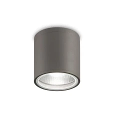 Ideal Lux GUN GU10 сірий 236865. Вуличний стельовий світильник