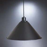 Imperium Light Etna E27 чорний 168138.05.05. Світильник підвісний