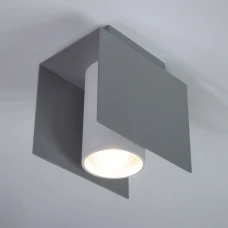 Imperium Light Bonn GU10 срібло, білий 316112.22.01. Накладний точковий світильник