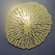 Підсвітка стін Imperium Light Dandelion G9 золото 416115.12.12