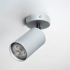 Imperium Light Accent GU10 срібло, хром 591145.22.22. Спот світильник