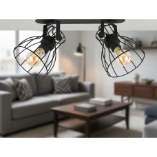 TK Lighting ALANO E27 чорний 2121. Стельовий світильник