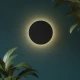 Світильник настінний LUNA 6014 TK Lighting