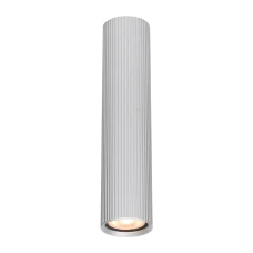 Italux Rilok GU10 CLN-83920-M-ALU. Накладний точковий світильник