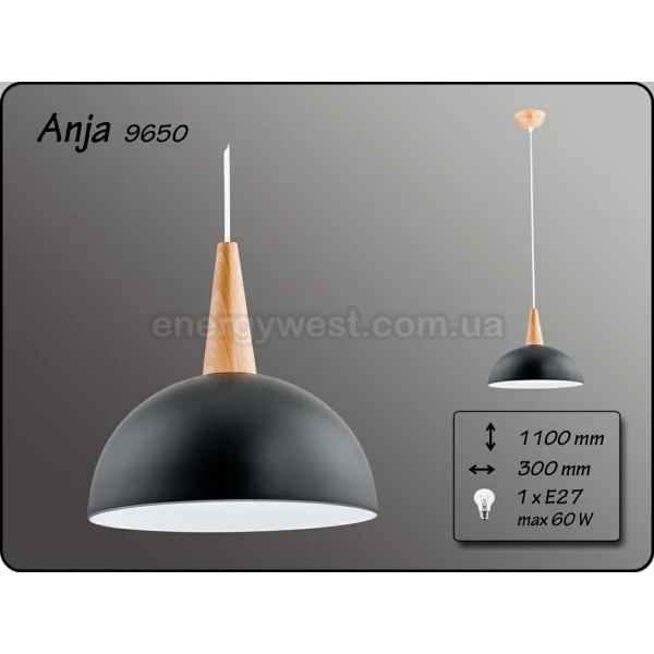 Світильник підвісний ANJA 9650 Alfa