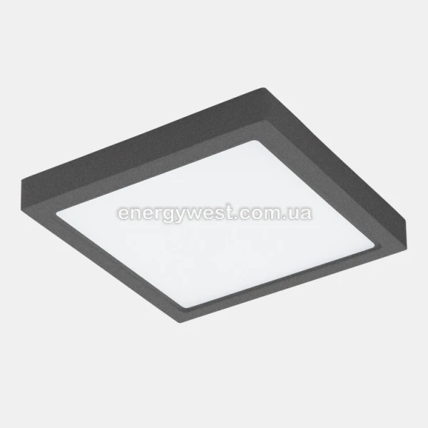 Фасадний світильник ARGOLIS 96495 Eglo - Фото 1