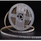 Стрічка світлодіодна Kloodi 16W 120LED 4000K RGB IP20 24V KD2835-120-16W-RGB-24V, 1м