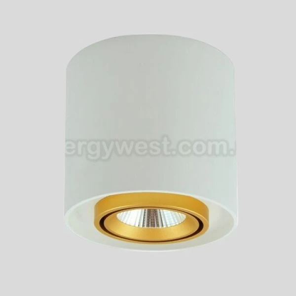 Точковий світильник XenoXENO GU10 325389 Goldlux