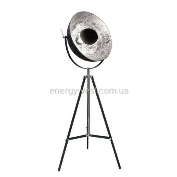 Торшер ANTENNE TS-090522F-BKSI Zuma Line - Фото 1