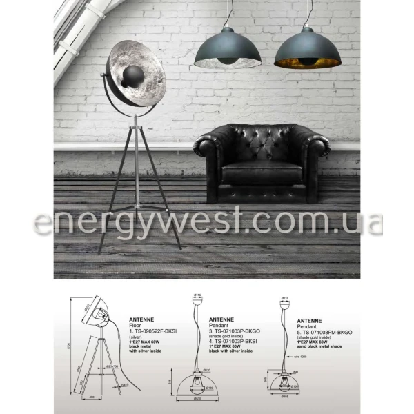 Торшер ANTENNE TS-090522F-BKSI Zuma Line - Фото 2