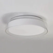Searchlight ANDAMAN 12Вт 3000К білий FL-ADM30-W. Стельовий світильник