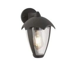 Searchlight BLUEBELL E27 прозорий 57891GY. Світильник вуличний