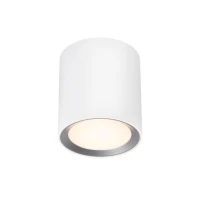 Nordlux LANDON 2110670101. Світильник точковий