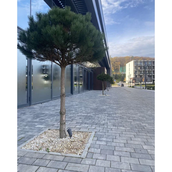 Світильник вуличний Nowodvorski BUSH GU10 графітовий 3401 - Фото 8