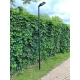 Вуличний ліхтарний стовп Nowodvorski PATHWAY 24Вт 3000К чорний 9252