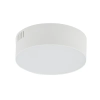 Nowodvorski LID 15Вт 4000К білий 10411. Стельовий світильник